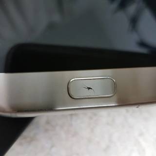 Galaxy S7 Edge SIMフリー 海外仕様 SM-G9350 dsds