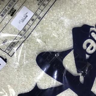 お米 白米 未開封 50kg 精米済