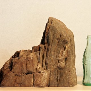 珪化木16.1㎏　　アリゾナ産木化石