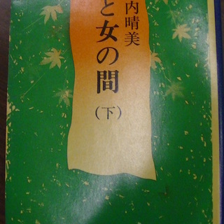 【３８１】　妻と女の間（下）　瀬戸内晴美　新潮文庫　昭和５６年発...