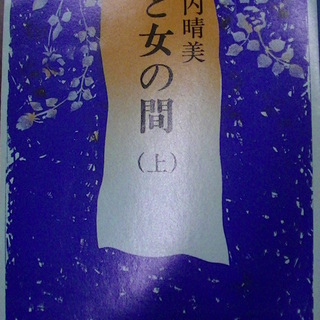 【３８２】　妻と女の間（上）　瀬戸内晴美　新潮文庫　昭和５６年発...