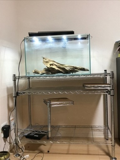 水槽台および熱帯魚水槽セット一式！