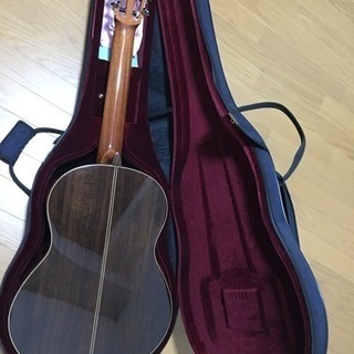 新品 アコースティックギター