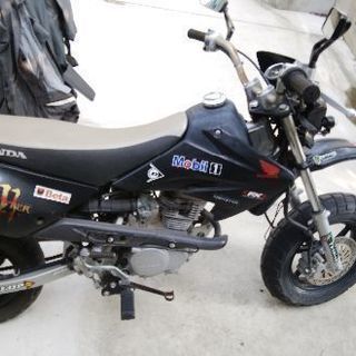 XR50モタード