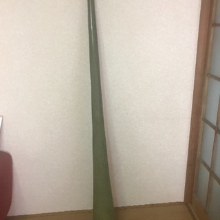 ヘンプディジュリドゥ レア物