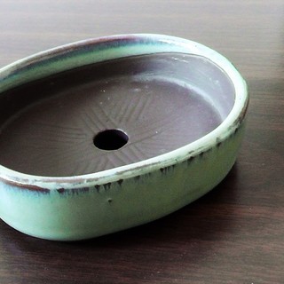 未使用◆手のひらサイズ平鉢◆盆栽鉢.青磁色グリーン系