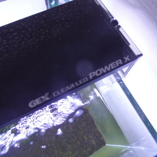 GEX　グラステリア９００水槽スリム GEX clear LED...