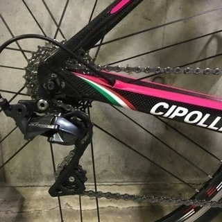 CIPOLLINI BOND