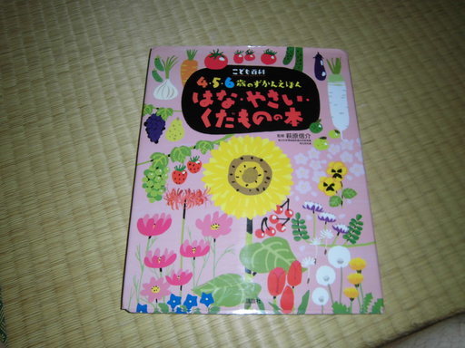 4 5 6歳のずかんえほんはな やさい くだものの本 Sdx423 赤塚のその他の中古あげます 譲ります ジモティーで不用品の処分 4 5 6歳のずかんえほんはな やさい くだものの本 Sdx423 赤塚のその他の中古あげます 譲ります ジモティーで不用品の処分