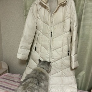 白いコート