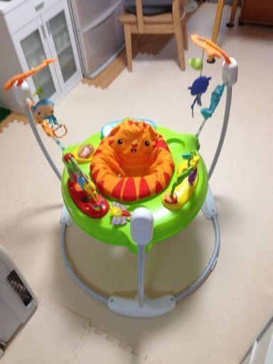 フィッシャープライス レインフォレスト ジャンパルーII Fisher-Price