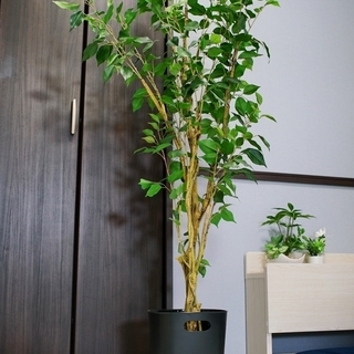 【確定】偽植物　人工観葉植物　1.3m