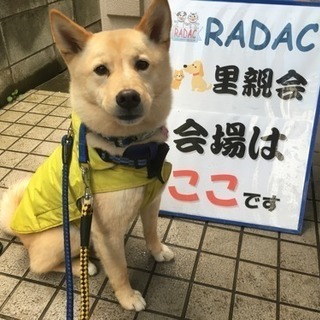 7月22日保護犬猫譲渡会 in川崎