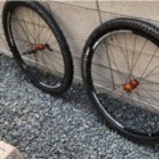 ボントレガー チューブタイヤ付きホイール 29inch