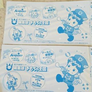 東条湖おもちゃ王国　入園券(プールは別)　２枚