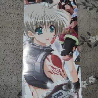 魔法戦記リリカルなのはforce 娘type ポスター イナムー 太田の生活雑貨の中古あげます 譲ります ジモティーで不用品の処分