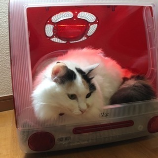 (商談中)iMac G3 猫ベッド 無料