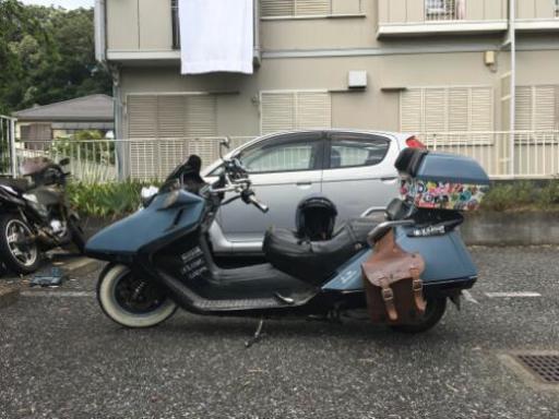 調子良好 フュージョン250 フルカスタム | geci-sa.com