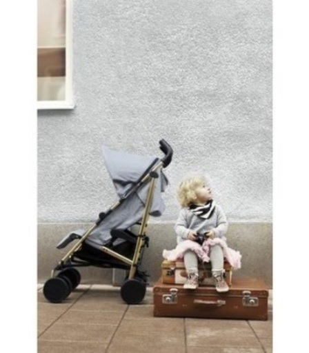 ベビーカー  日本未入荷 スウェーデン王室御用達ブランド