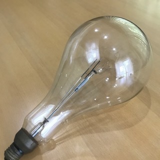 お洒落な巨大な電球 イカ球