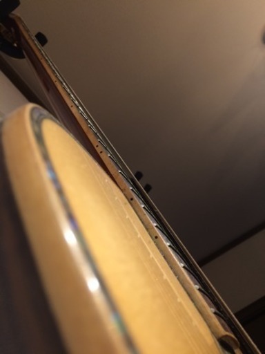 ZENN ZD100CE ピエゾ&コンデンサMIX エレアコ | global.burplids.com