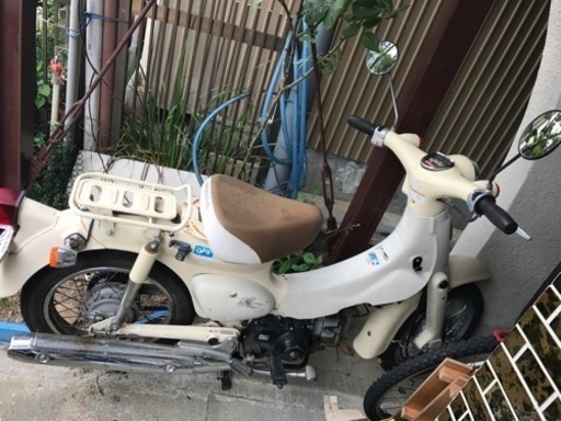 リトルカブ