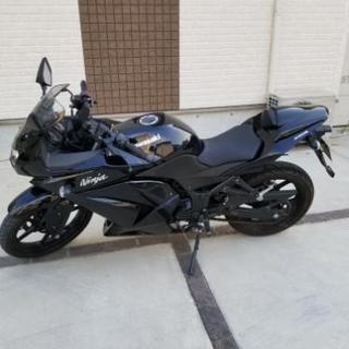 kawasaki Ninja250R