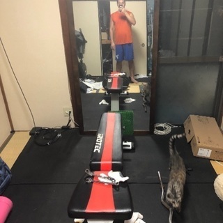 7月末まで出品 引き取り可 マルチパーパスフォールディングベンチ 【組立不要】