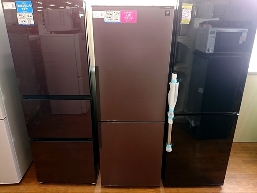 安心の6ヶ月返金保証付き！SHARP(シャープ)2ドア冷蔵庫271Lです！【トレファク藤沢店】