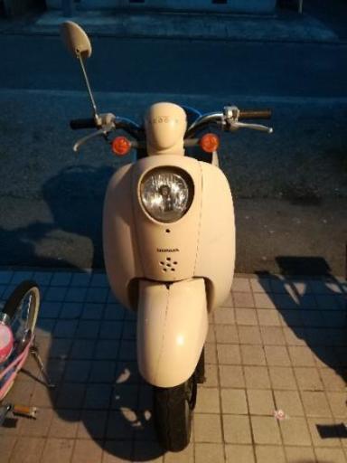 scoopy （原付）