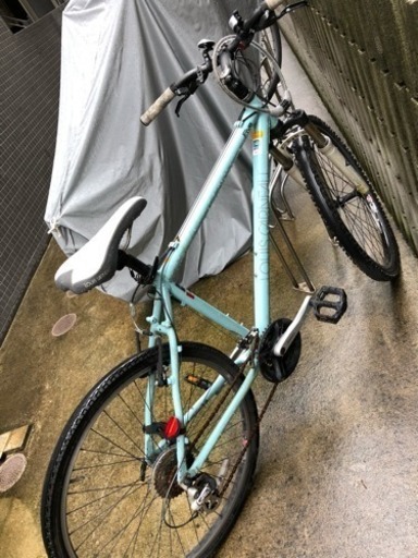 ルイガノの自転車