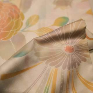 クリスチャンフィッシュバッハ(FISBA）ワンダーランド　デュベカバー　シングル