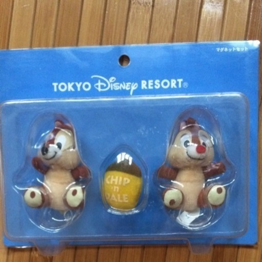 未使用 TDR チップとデール マグネット