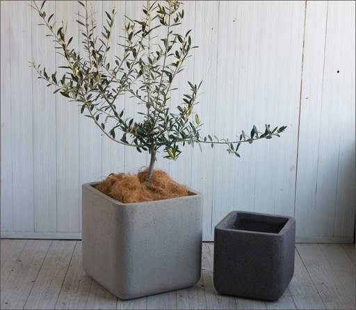 新品 植木鉢大型プランターコルテスキューブ36ファイバーセメントセメント鉢おしゃれ Mongara 西荻窪のその他の中古あげます 譲ります ジモティーで不用品の処分 新品 植木鉢大型プランターコルテスキューブ36ファイバーセメントセメント鉢おしゃれ Mongara 西荻窪のその他の中古あげます 譲ります ジモティーで不用品の処分