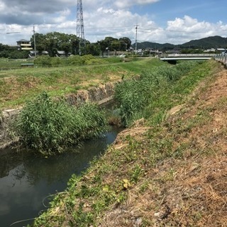 【簡単・軽作業】愛知/幸田町  川辺の草刈りのお手伝い募集！