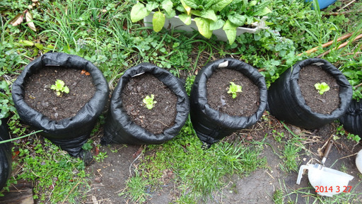 新品 ブラックuv土嚢袋 どのう 黒29枚土嚢袋栽培植木鉢の代わりとして土のう野菜栽培ベランダ菜園 Mongara 西荻窪のその他の中古あげます 譲ります ジモティーで不用品の処分