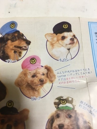 第1弾 犬のおまわりさん ピンク ちー 野幌のその他の中古あげます 譲ります ジモティーで不用品の処分 第1弾 犬のおまわりさん ピンク ちー 野幌のその他の中古あげます 譲ります ジモティーで不用品の処分