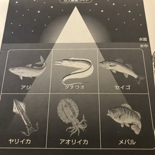 集魚灯 ガス集魚ライト アジ釣り 堤防