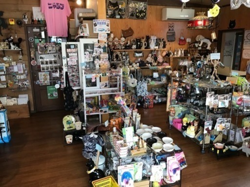 猫と遊べる猫雑貨や Zaneli 松本の猫の無料広告 無料掲載の掲示板 ジモティー 猫と遊べる猫雑貨や Zaneli 松本の猫の無料広告 無料掲載の掲示板 ジモティー
