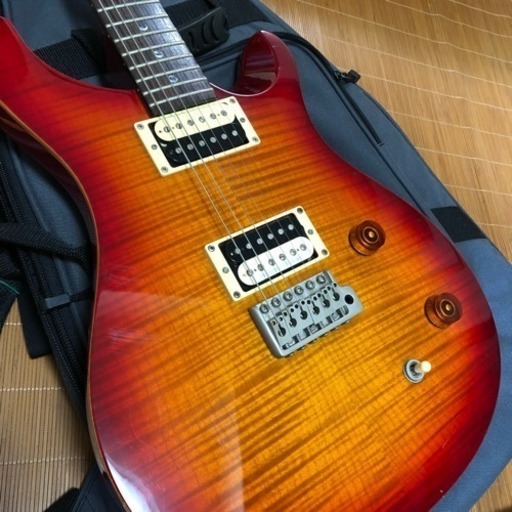 弦楽器、ギター PRS SEcustom