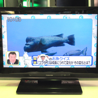 液晶テレビ TOSHIBA 東芝 26型液晶テレビ 26A9000 2009年製 中古 - テレビ