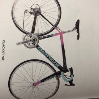 ビアンキ 18年モデル フェニーチェプロ 新車