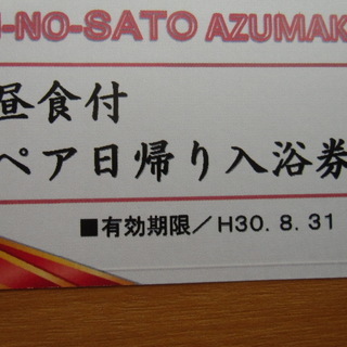 ペア日帰り温泉入浴券✥昼食付