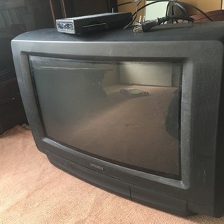 テレビ