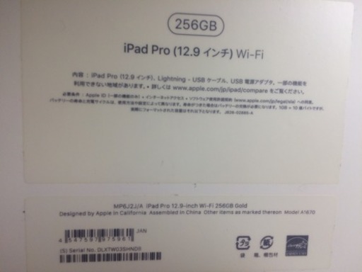 iPad Pro 12.9インチ ゴールド MP6J2J/A