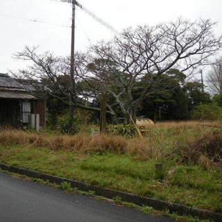 鹿児島県西之表市国上【※契約済】南向平坦角地500坪古屋付400万円