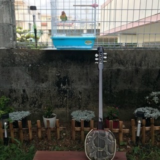 6弦 三線
