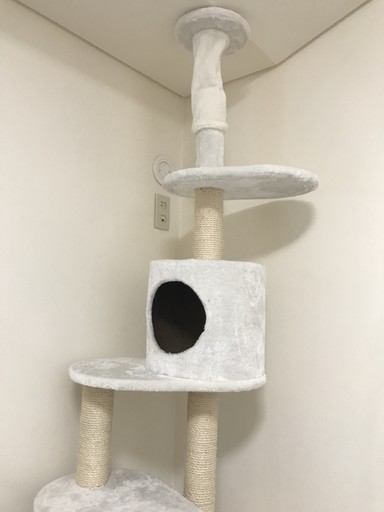 ＭＡＵキャットタワー♪美品です(=^・^=)