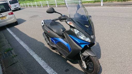 早い者勝ち・激安現状販売　マラグーティー　マディソン3　250le