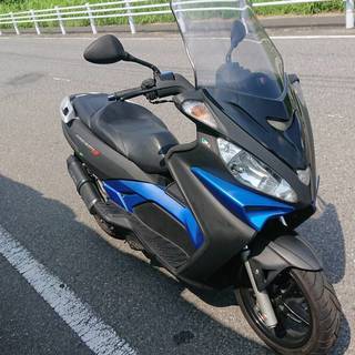 早い者勝ち・激安現状販売　マラグーティー　マディソン3　250le